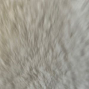 Meet your Posher, Luna